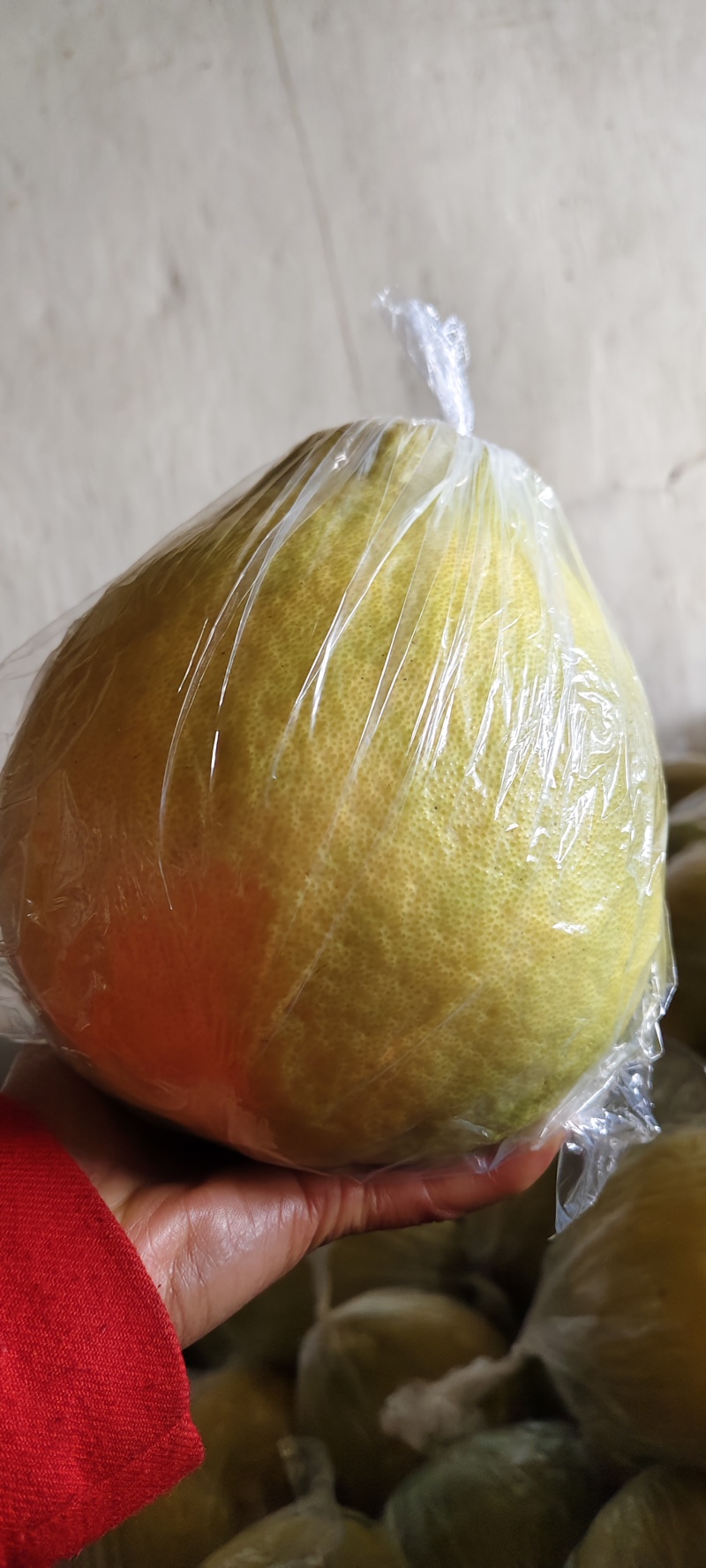 湖南江永香柚