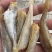 北海红娘子鱼，淡干，摆地摊，展会，电商