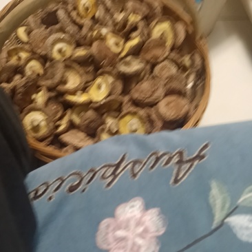 香菇