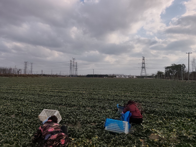 精品太湖菜