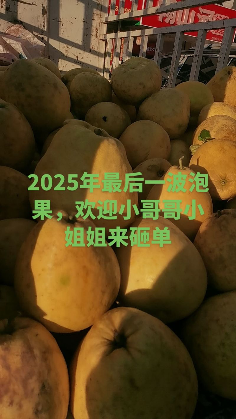 晚熟白心柚子，一枚1—4.5斤