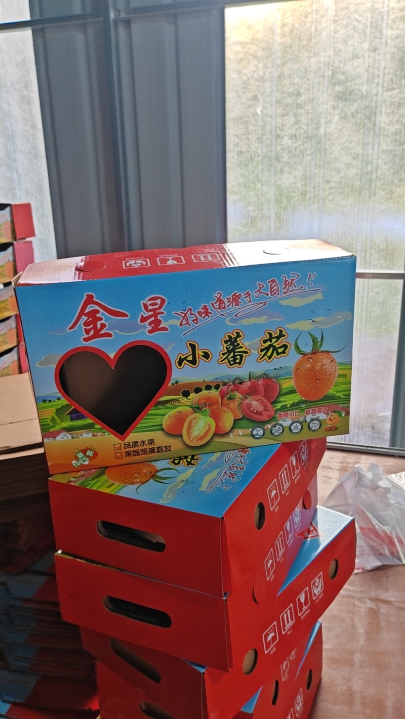 黄金小番茄
