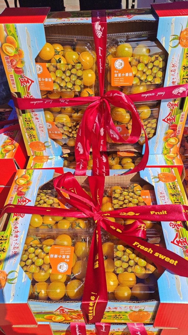 黄金小番茄