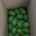 广东无籽香水柠檬