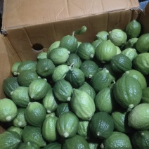 广东无籽香水柠檬