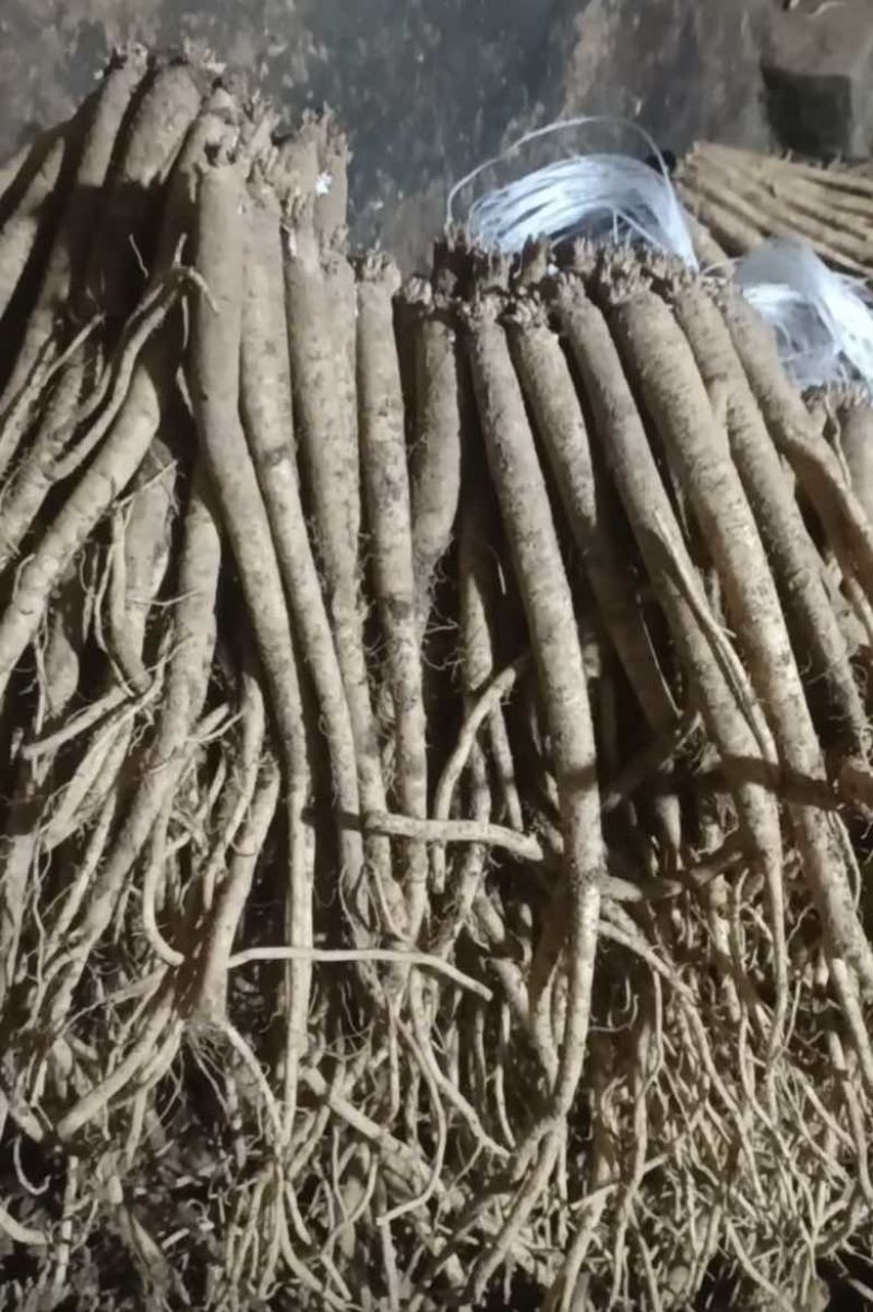 各种规格都有需要的老板请联系