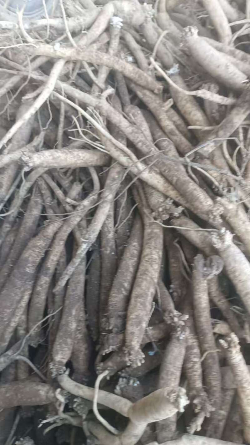 各种规格都有需要的老板请联系
