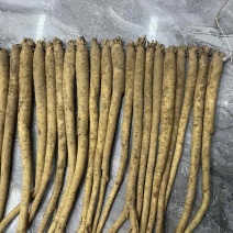 各种规格都有需要的老板请联系