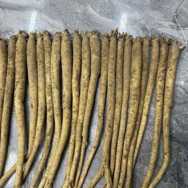 各种规格都有需要的老板请联系