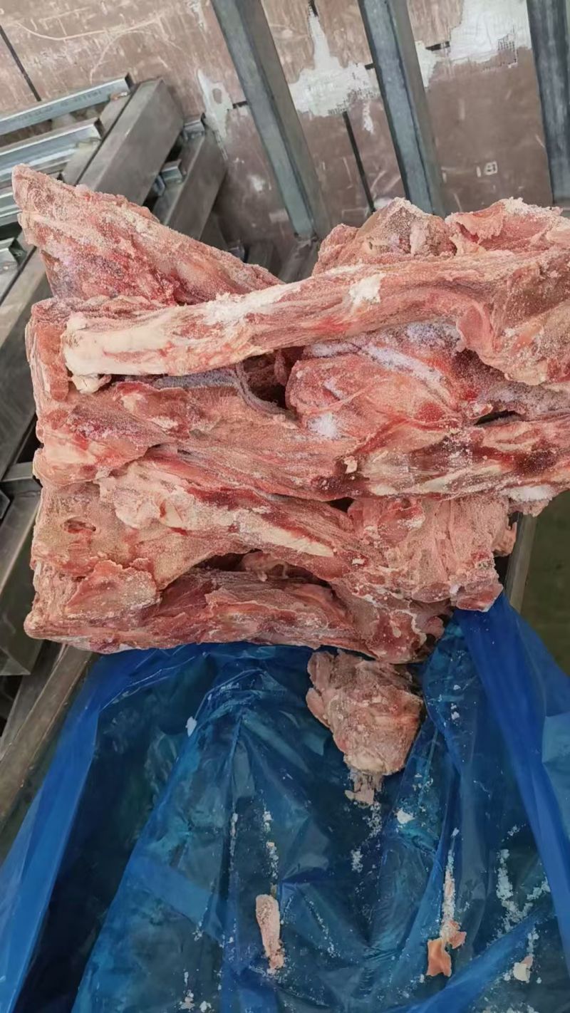 母猪尾骨