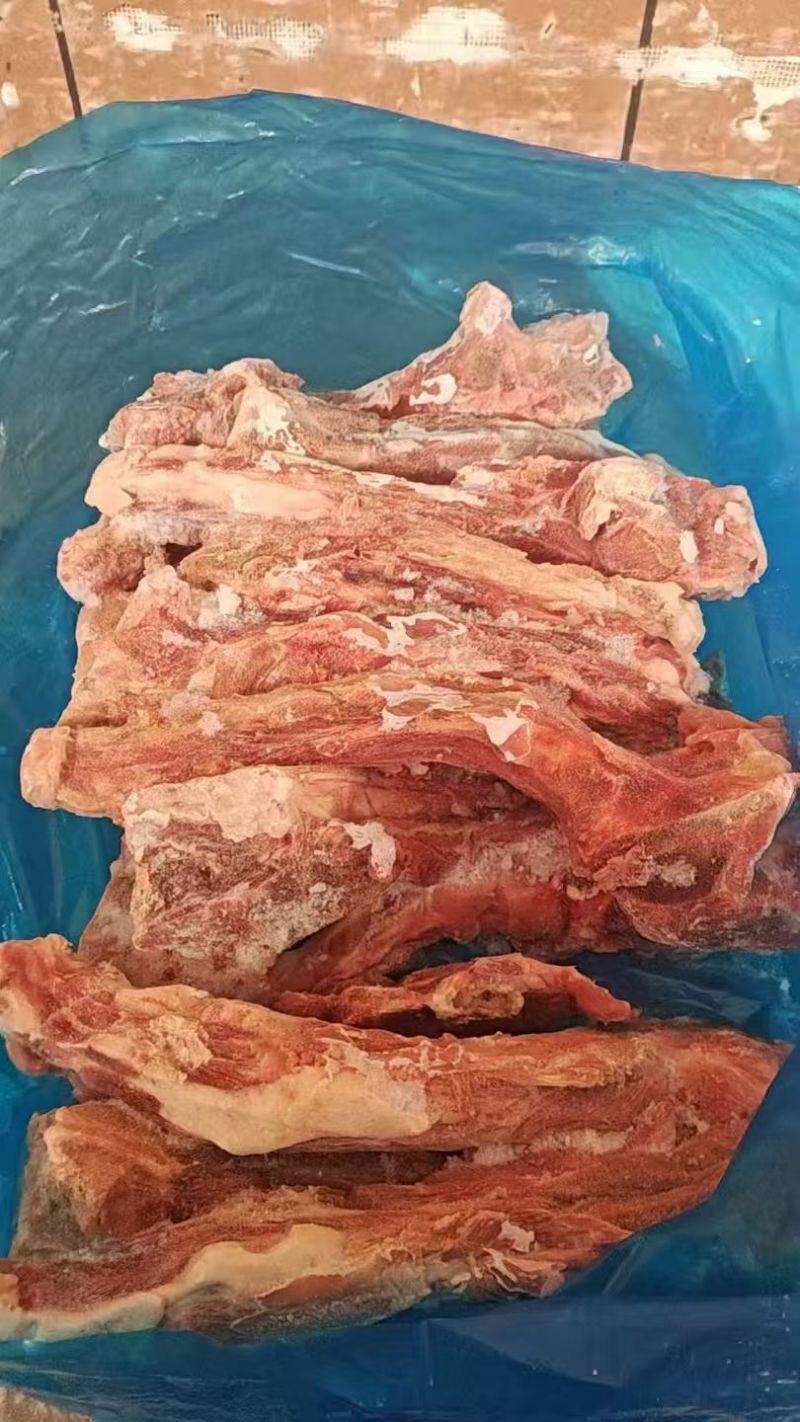 母猪尾骨