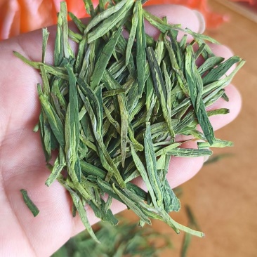 龙形绿茶有2000斤