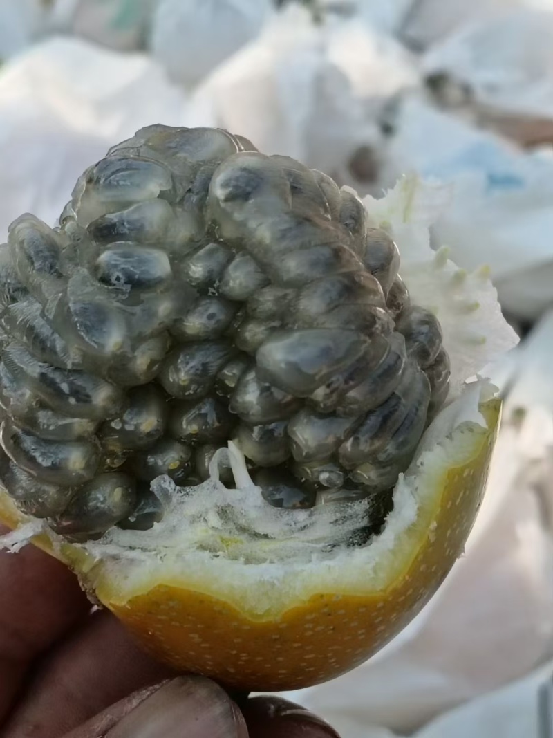 香甜可口，口感的话就是香甜浓郁的花香味，双版纳热情股果称爱情
