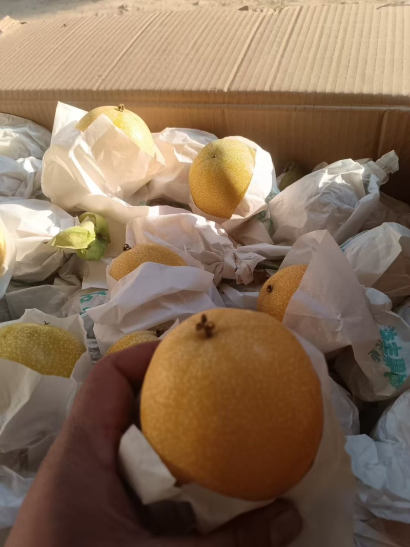 香甜可口，口感的话就是香甜浓郁的花香味，双版纳热情股果称爱情