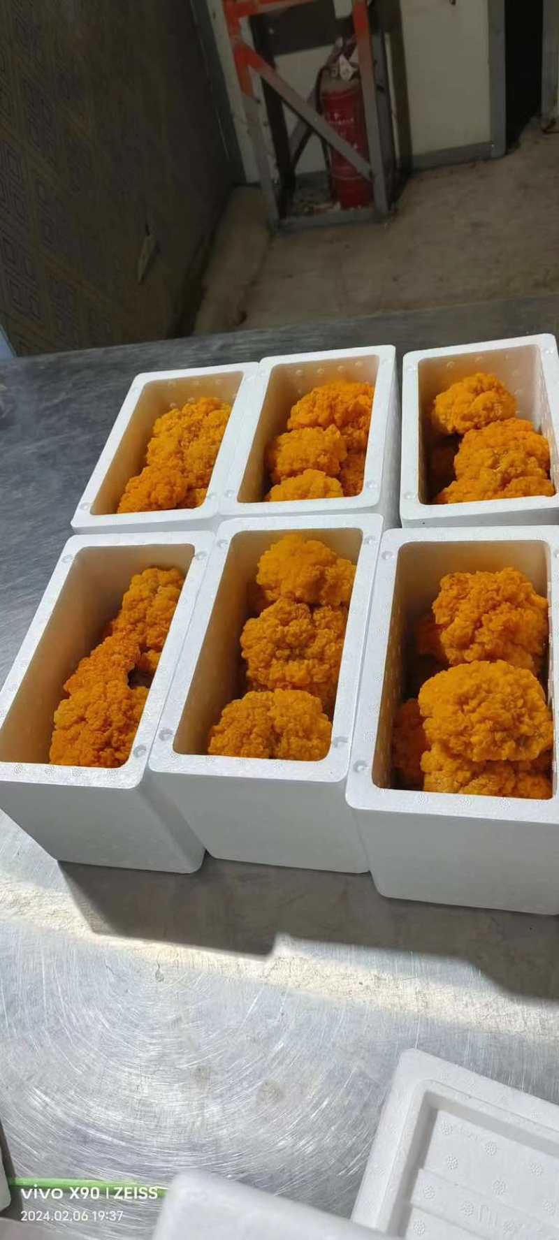 金耳
