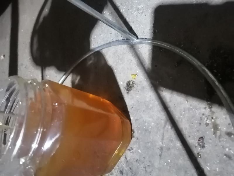 土蜂蜜
