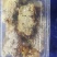 土蜂蜜