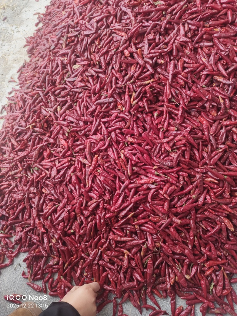 辣椒