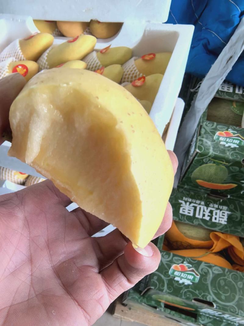 维纳斯黄金苹