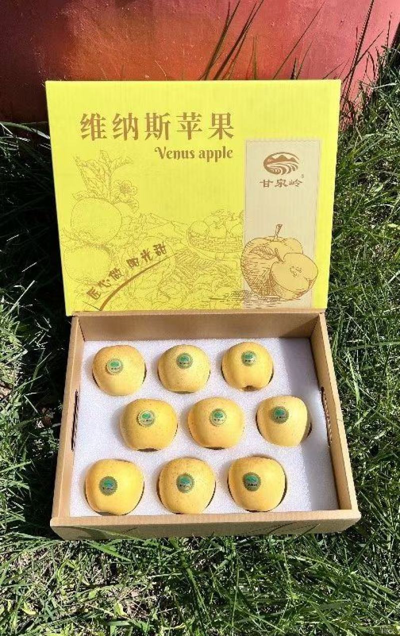 维纳斯黄金苹