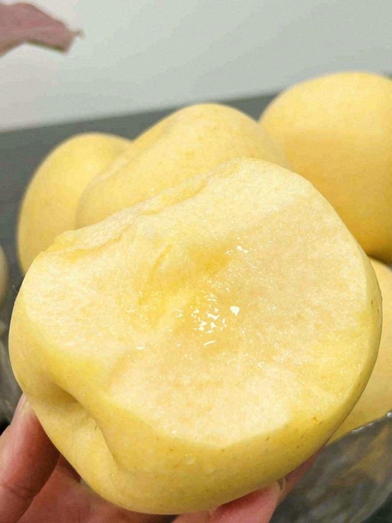 维纳斯黄金苹
