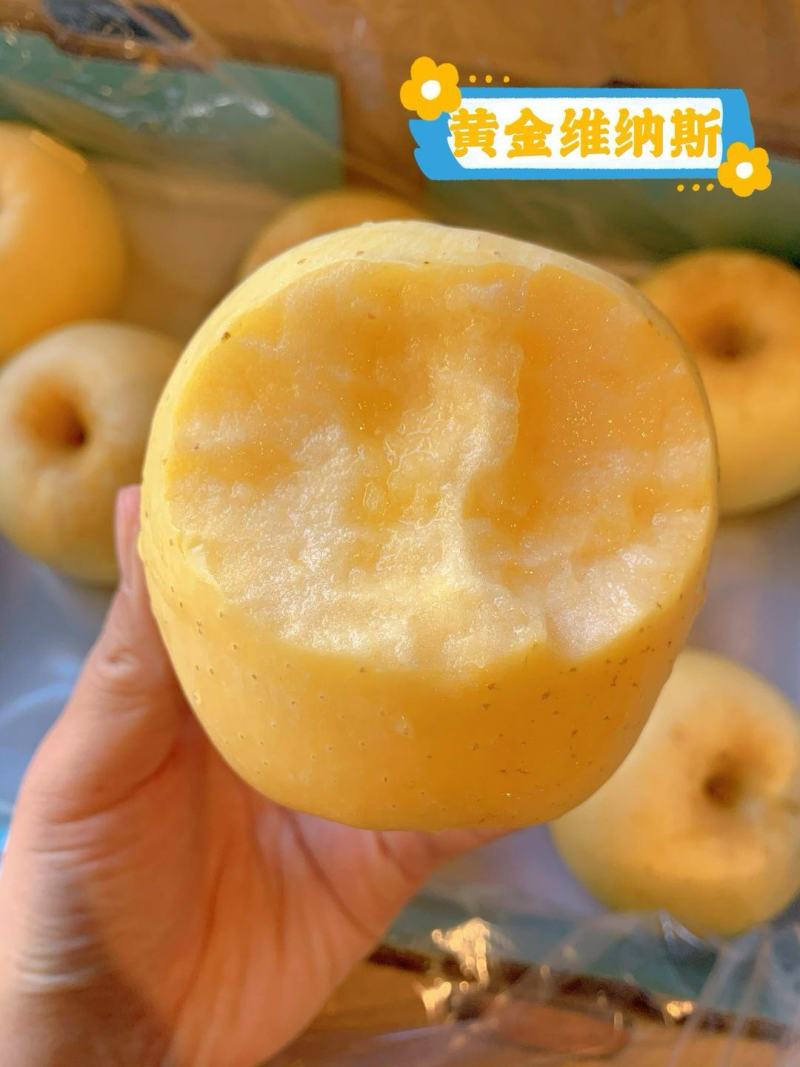 维纳斯黄金苹