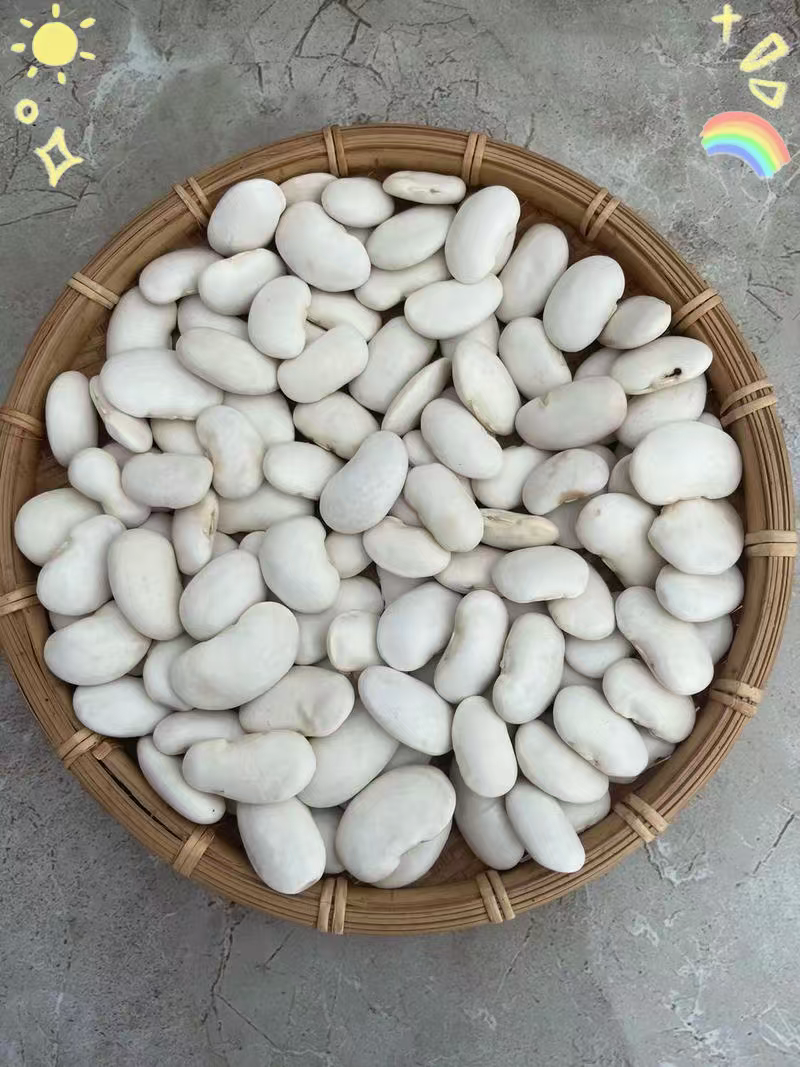 云南白云豆