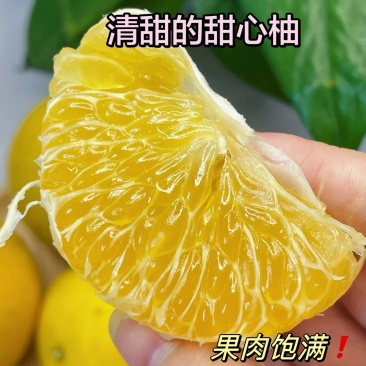福建甜心柚