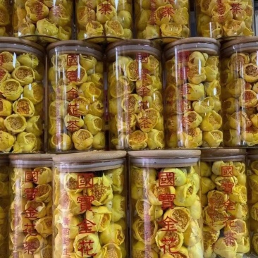 国宝金花茶
