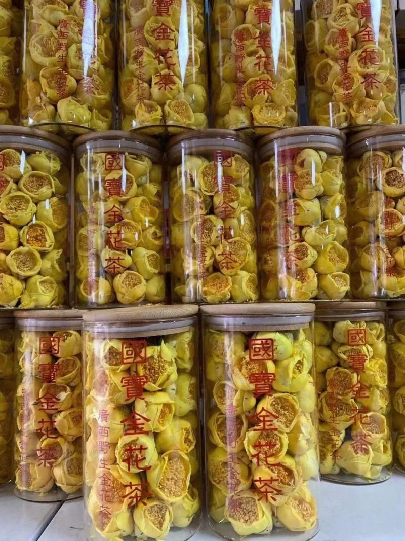 国宝金花茶