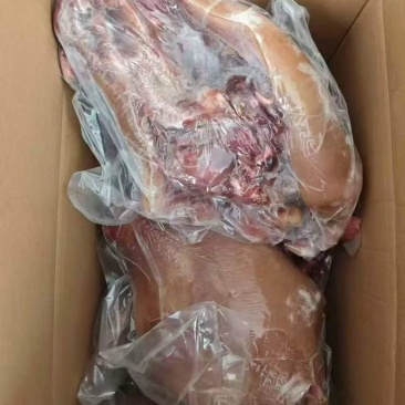 牛头肉
