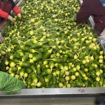 赶集，团购，搞活动**，