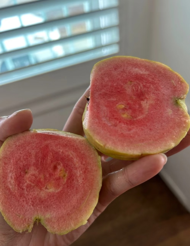 红宝石番石榴苗/树苗）红肉品种，爽脆清甜，就像吃哈密瓜一样
