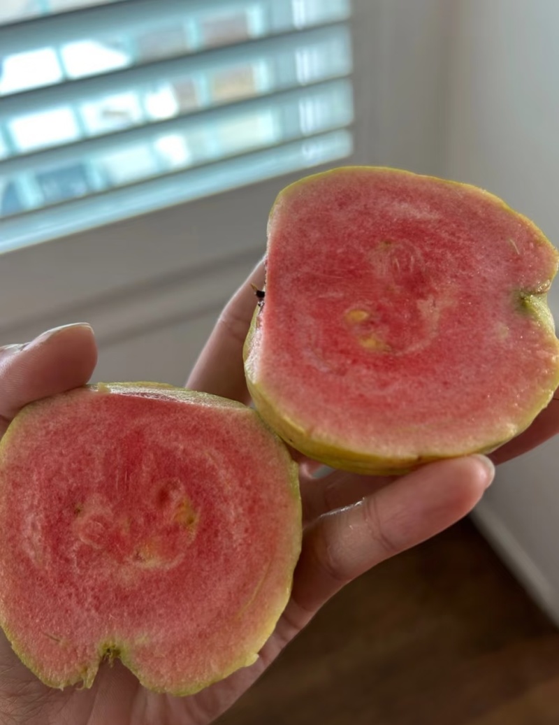 红宝石番石榴苗/树苗）红肉品种，爽脆清甜，就像吃哈密瓜一样