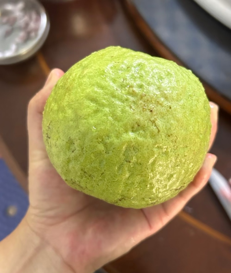红宝石番石榴苗/树苗）红肉品种，爽脆清甜，就像吃哈密瓜一样