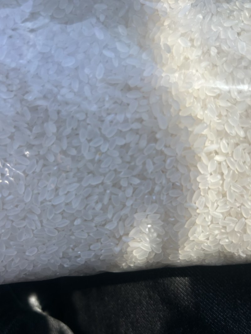 大米香米