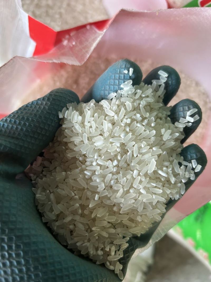 大米香米