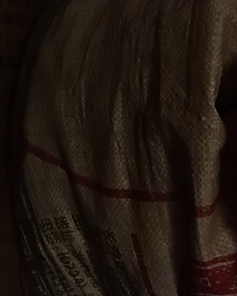 干辣椒