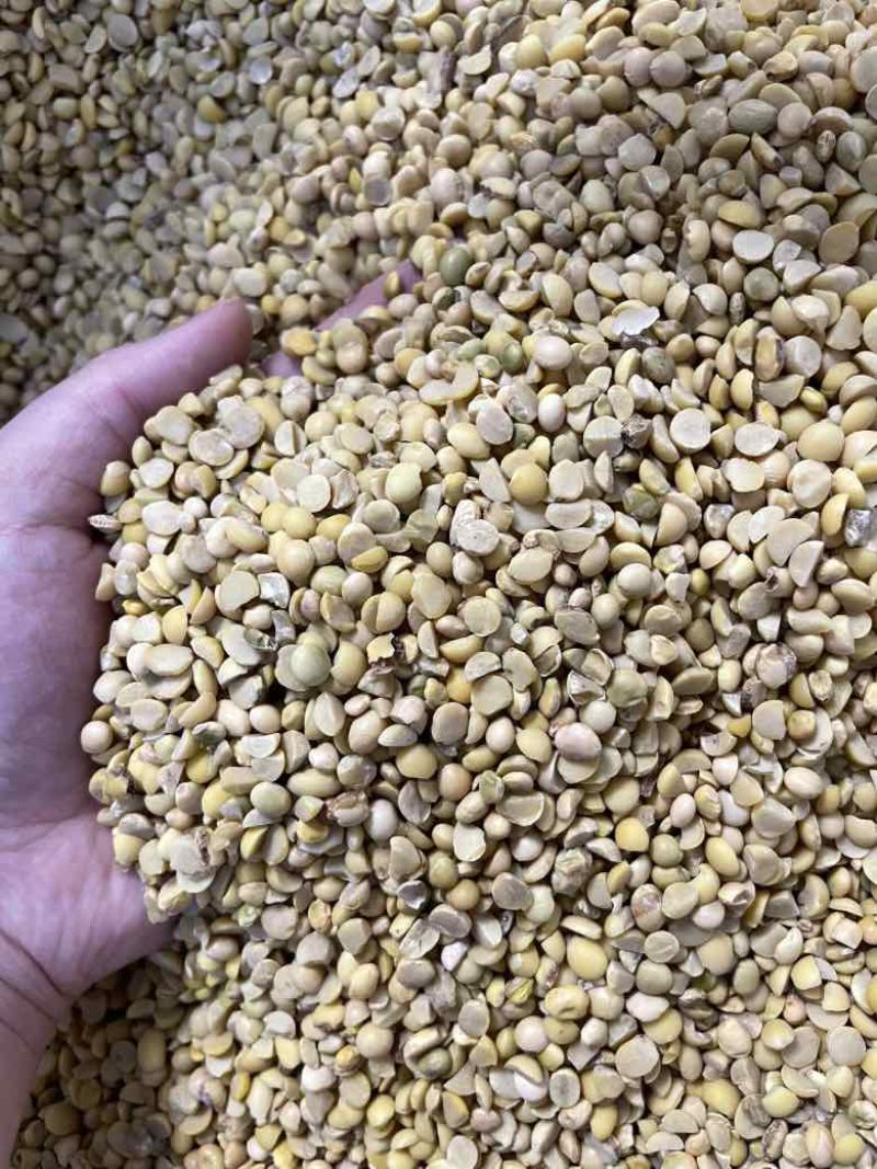 碎大豆天然植物的“营养餐”