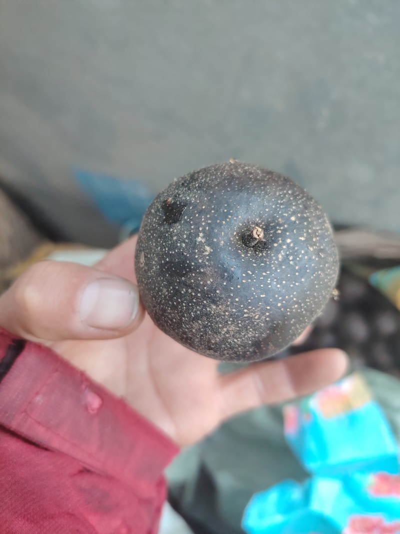 青龙冻梨