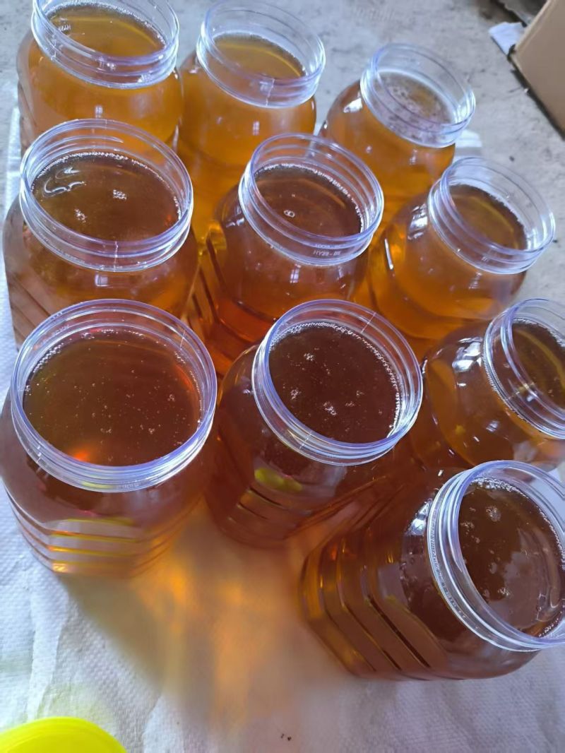 惠州区域，农家自养自酿蜂蜜，******，每个季节都出货