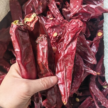 新疆红龙干辣椒