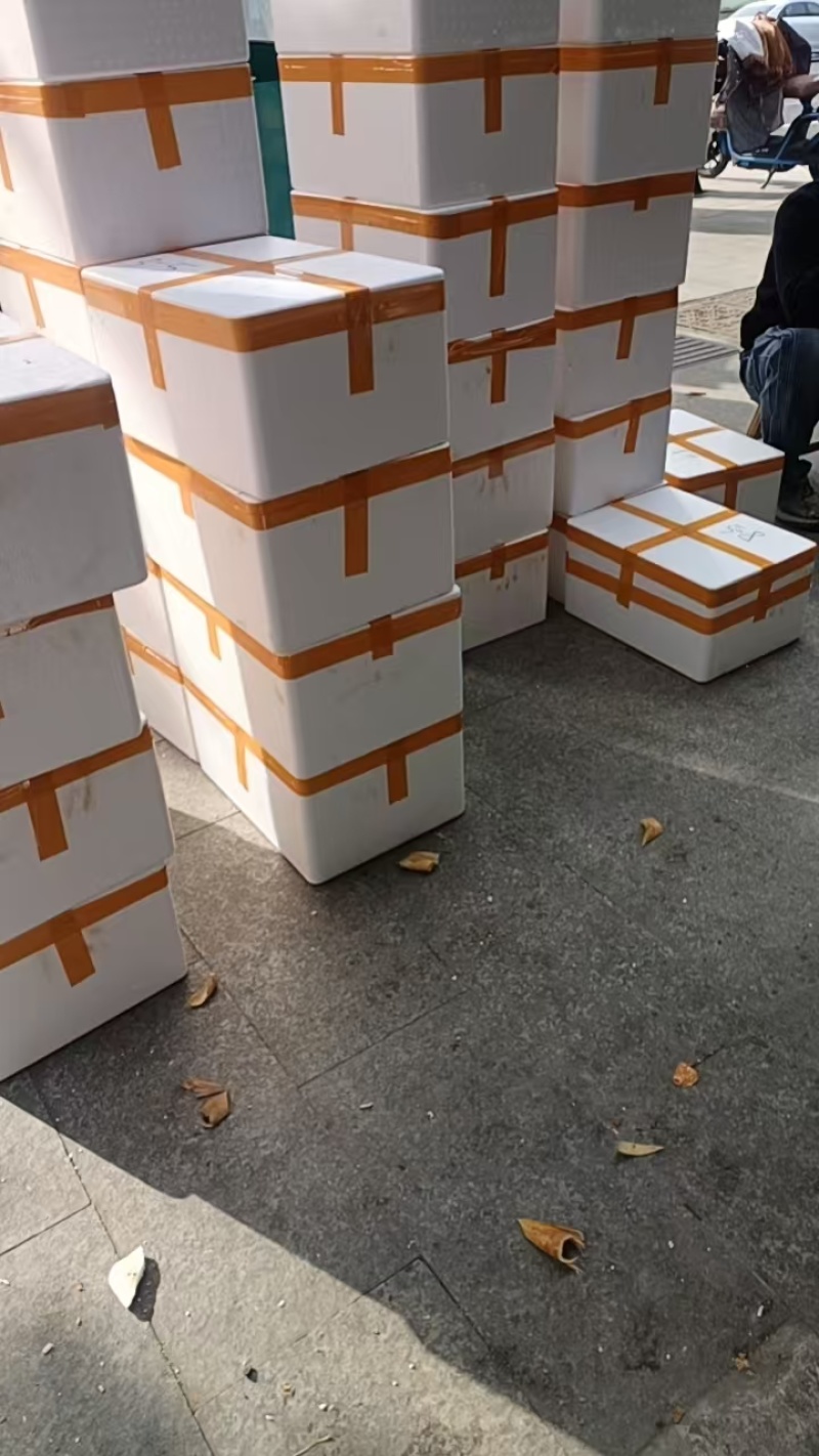 冬笋