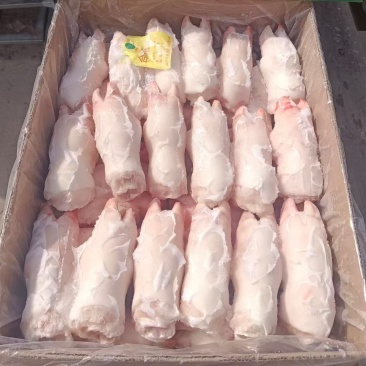 调理一级蹄10kg35-40临沂提货新货