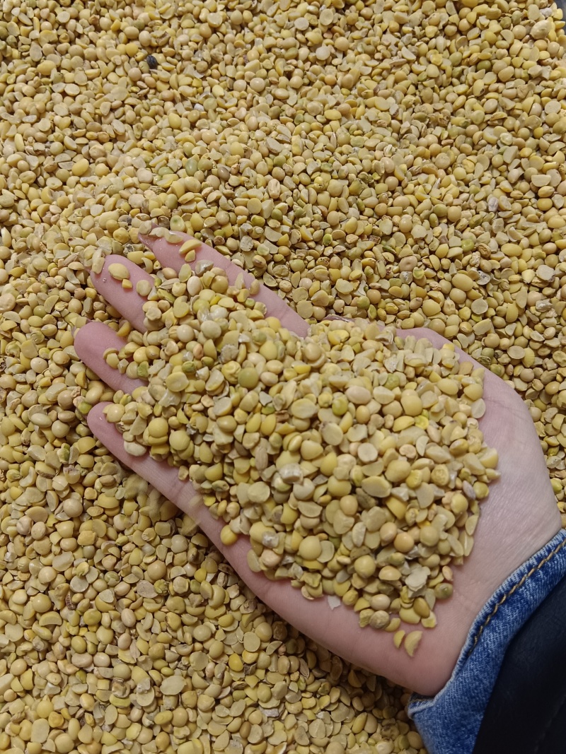 碎黄豆，养殖饲料，种地施肥均可使用！