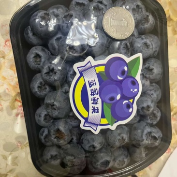 蓝莓