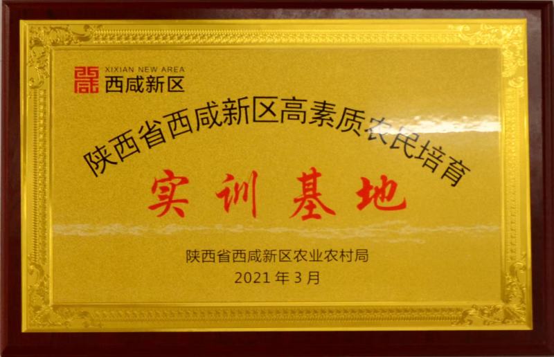生物有机肥，菌肥