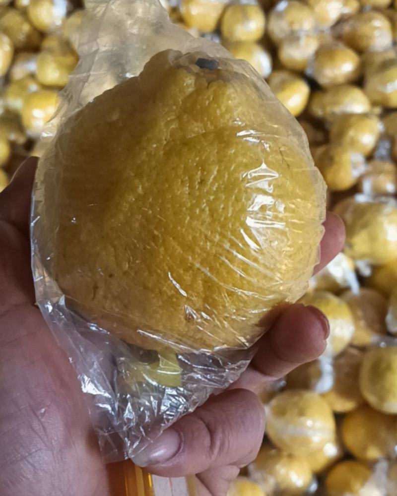 黄金贡柚，