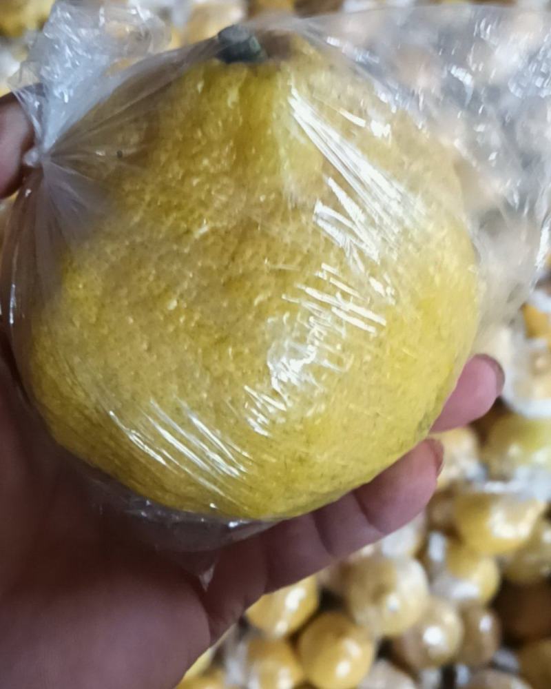 黄金贡柚，