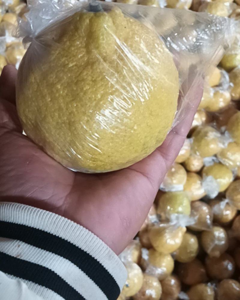 黄金贡柚，